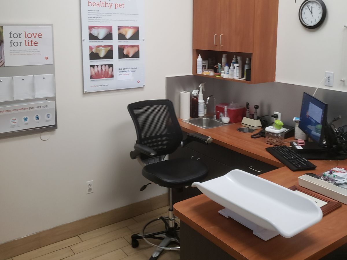 A view inside the Secaucus Banfield exam room