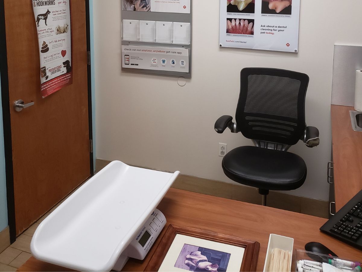 An alternate view of a Banfield - Secaucus exam room