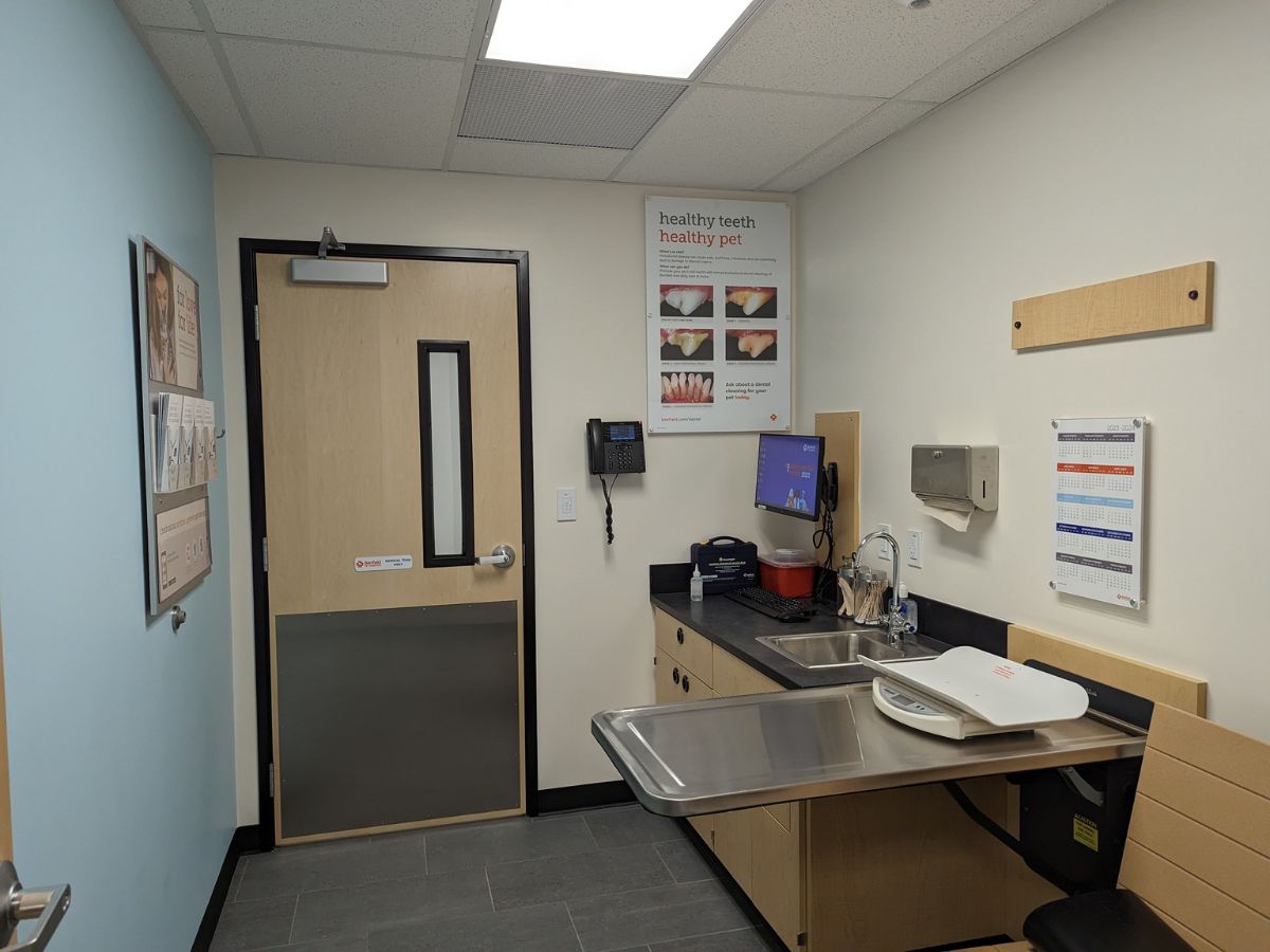 An alternate view of the Crawford - Garden City Park Banfield hospital exam room