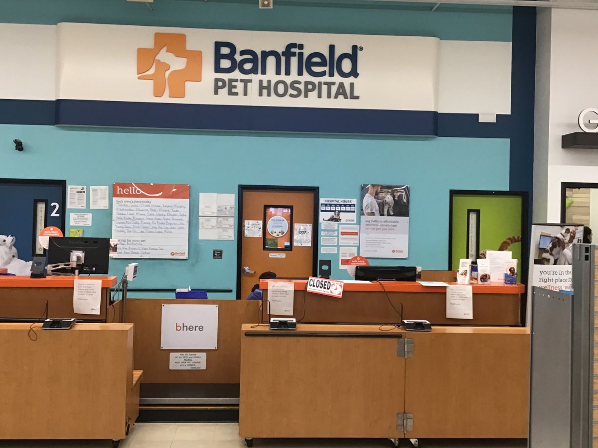 The Levittown Banfield hospital front desk and check-in area