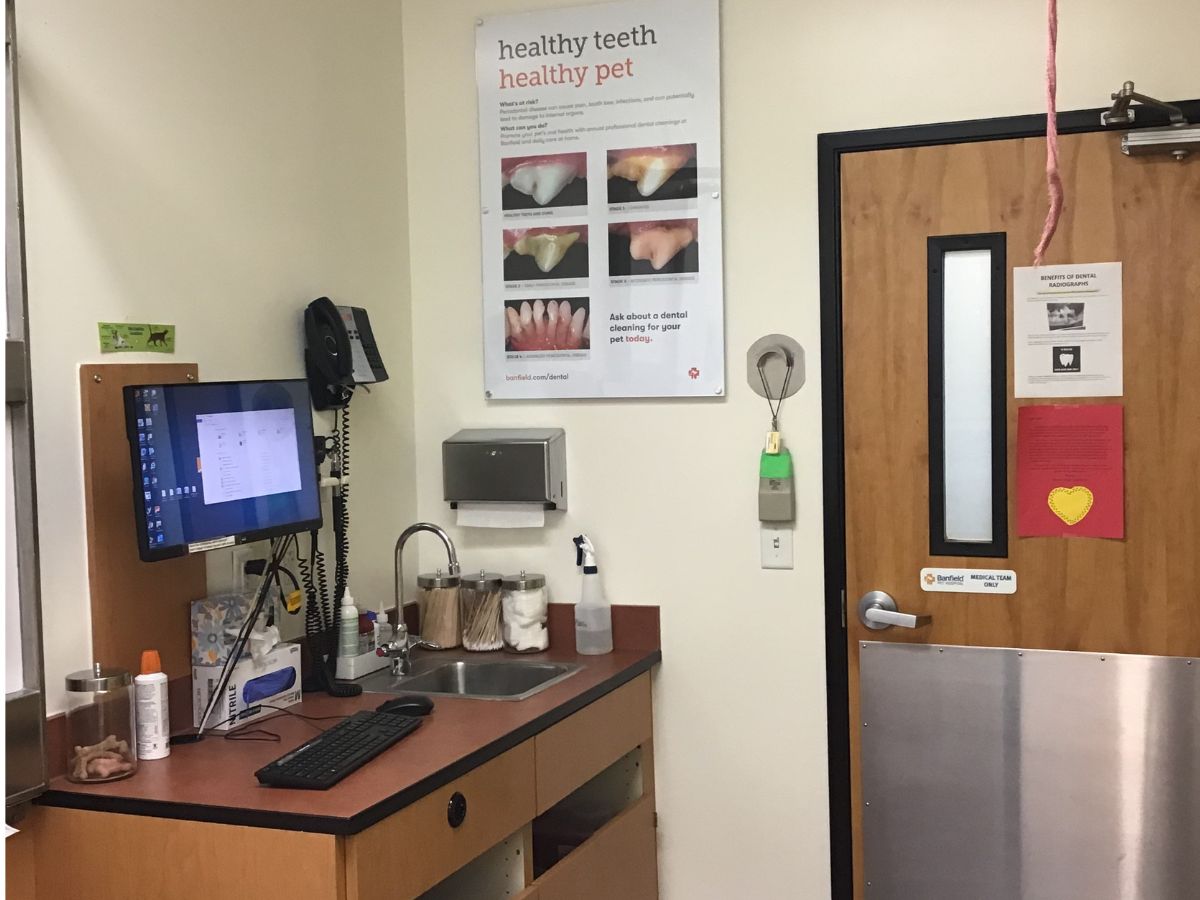 A view of the Banfield - Levittown exam room