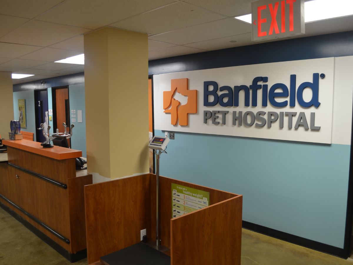 The front desk inside the Brooklyn Banfield hospital