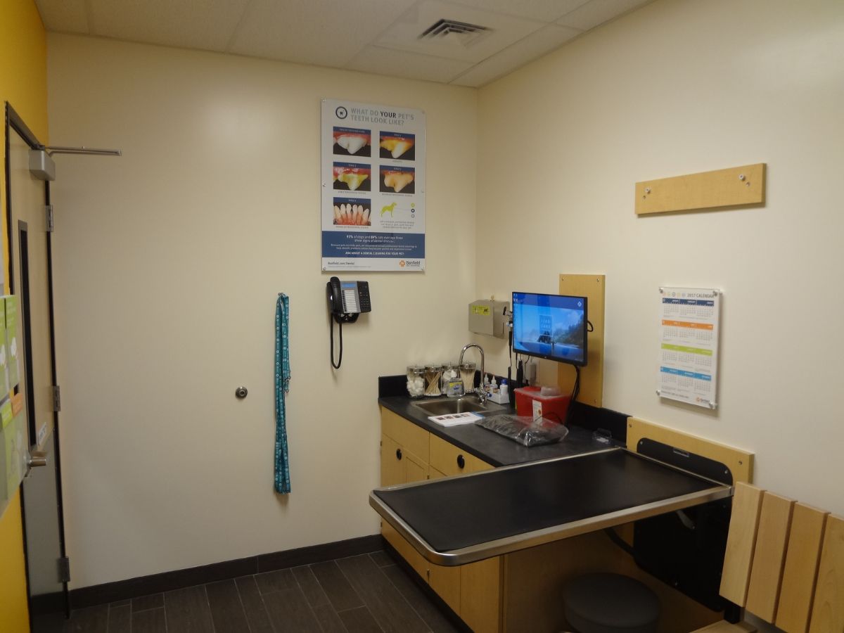 Another view of the Carlstadt Banfield exam room and folding table