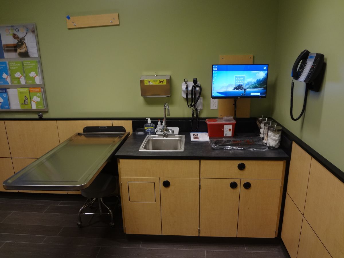 A view inside a Carlstadt Banfield exam room