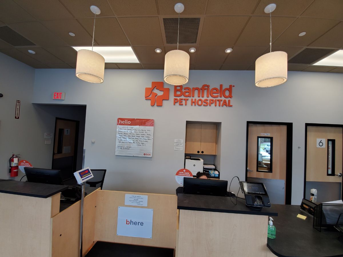 The front desk at the Banfield - Yonkers hospital