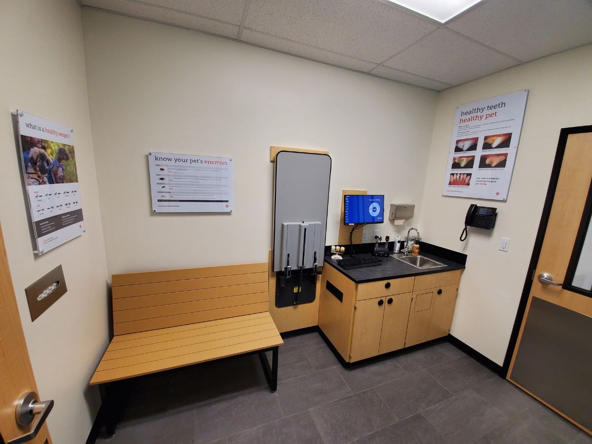 A view inside a Banfield - Yonkers hospital exam room