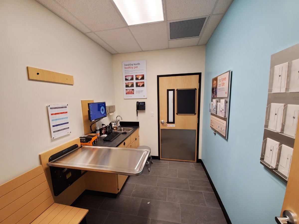 The Yonkers Banfield exam room and folding table view