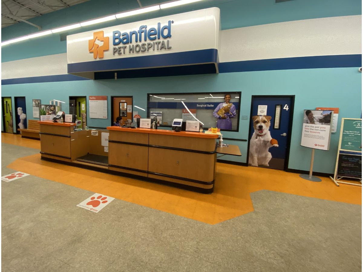 The Banfield - Ocean front desk and check-in area
