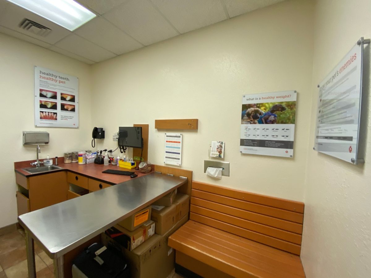 The Banfield - Ocean exam room and folding table view