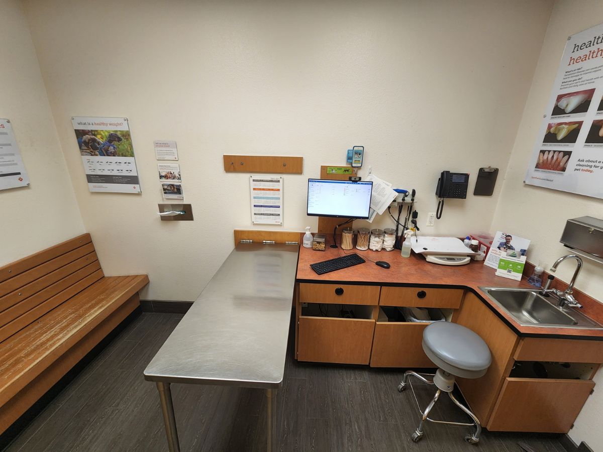 A view inside a Manahawkin Banfield exam room