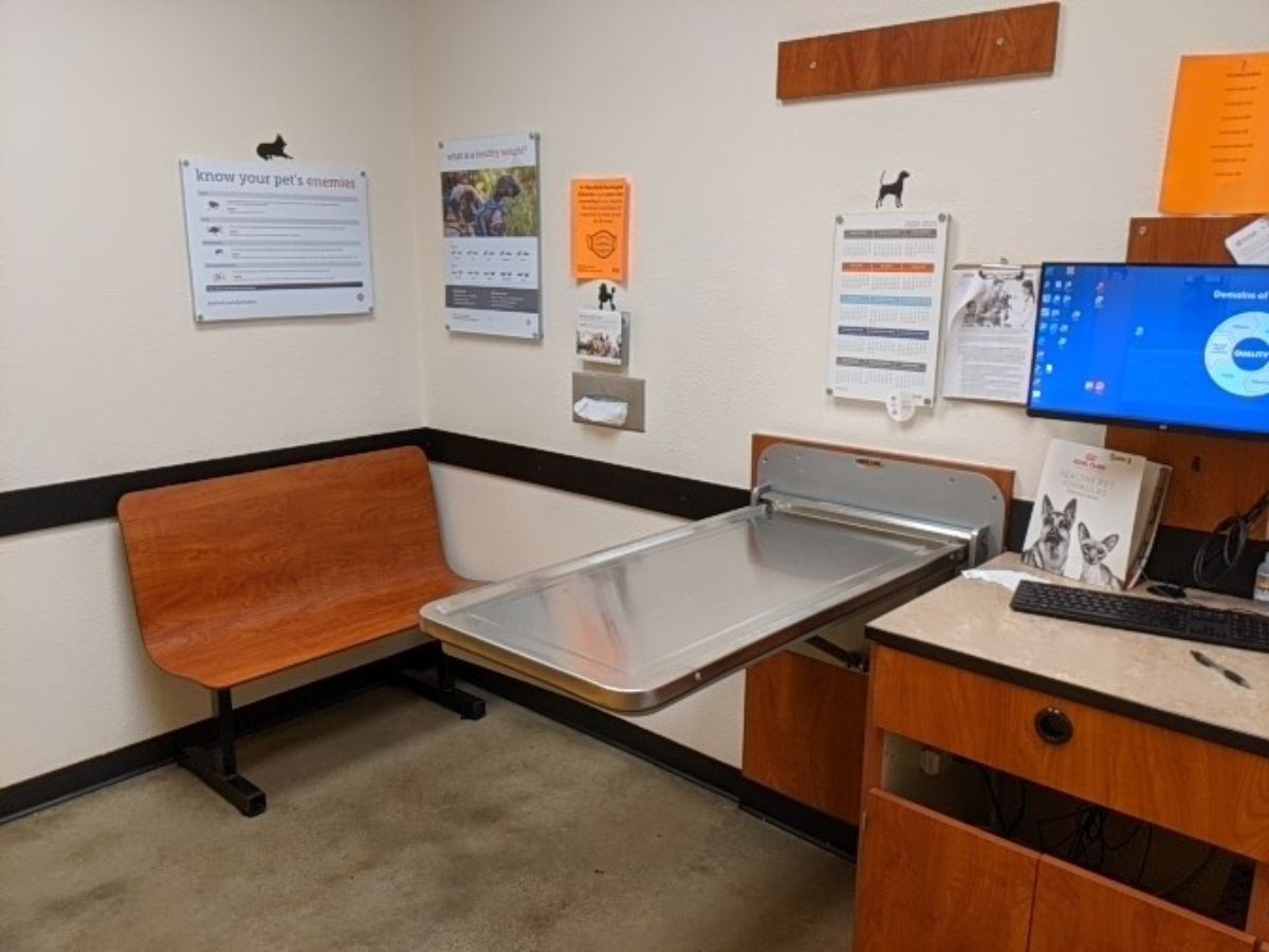A view inside the Banfield - East Brunswick exam and folding table