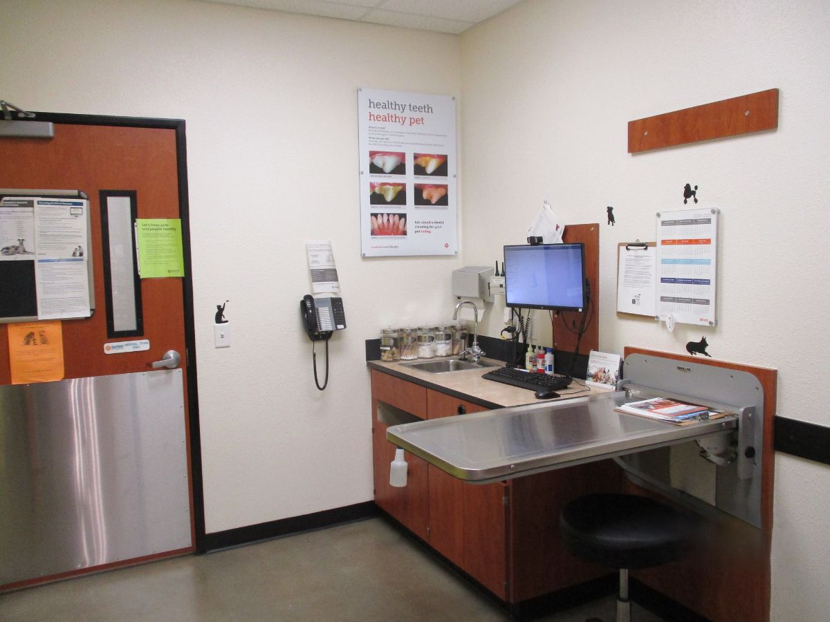 An alternate view of the East Brunswick Banfield exam room