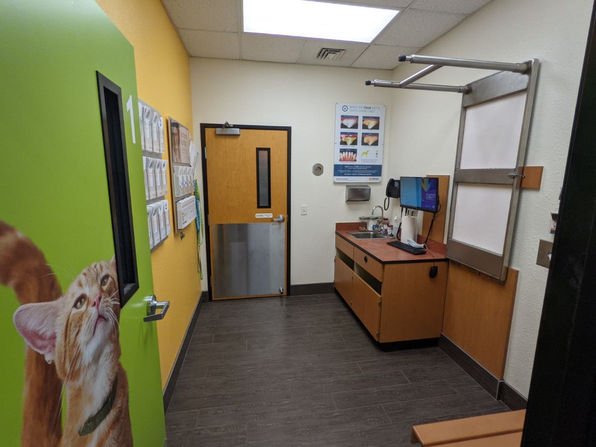 Another view of the Turnersville Banfield hospital exam room