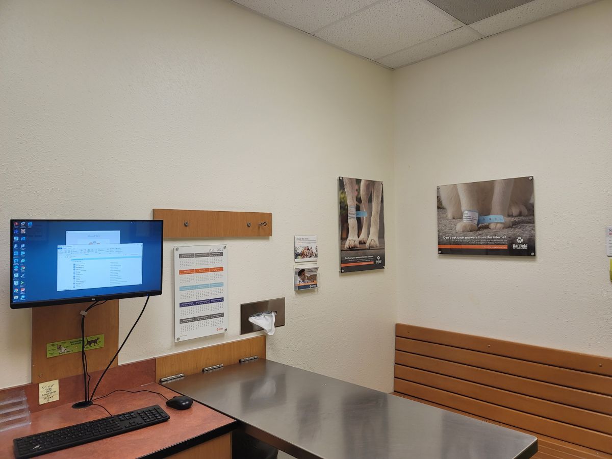 A view inside the Banfield - Deptford hospital exam room