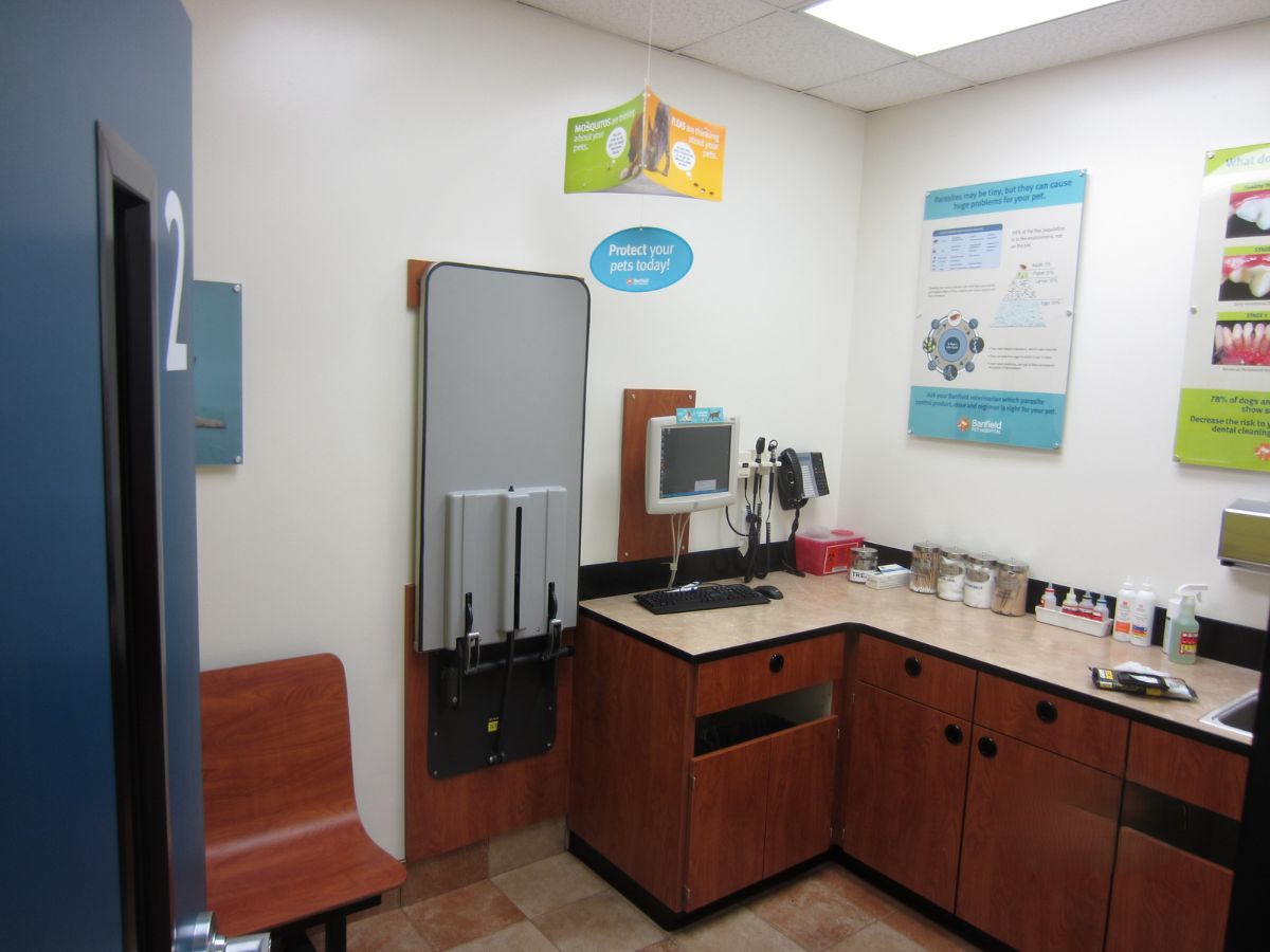 The Banfield Pet Hospital: Cherry Hill exam room with table
