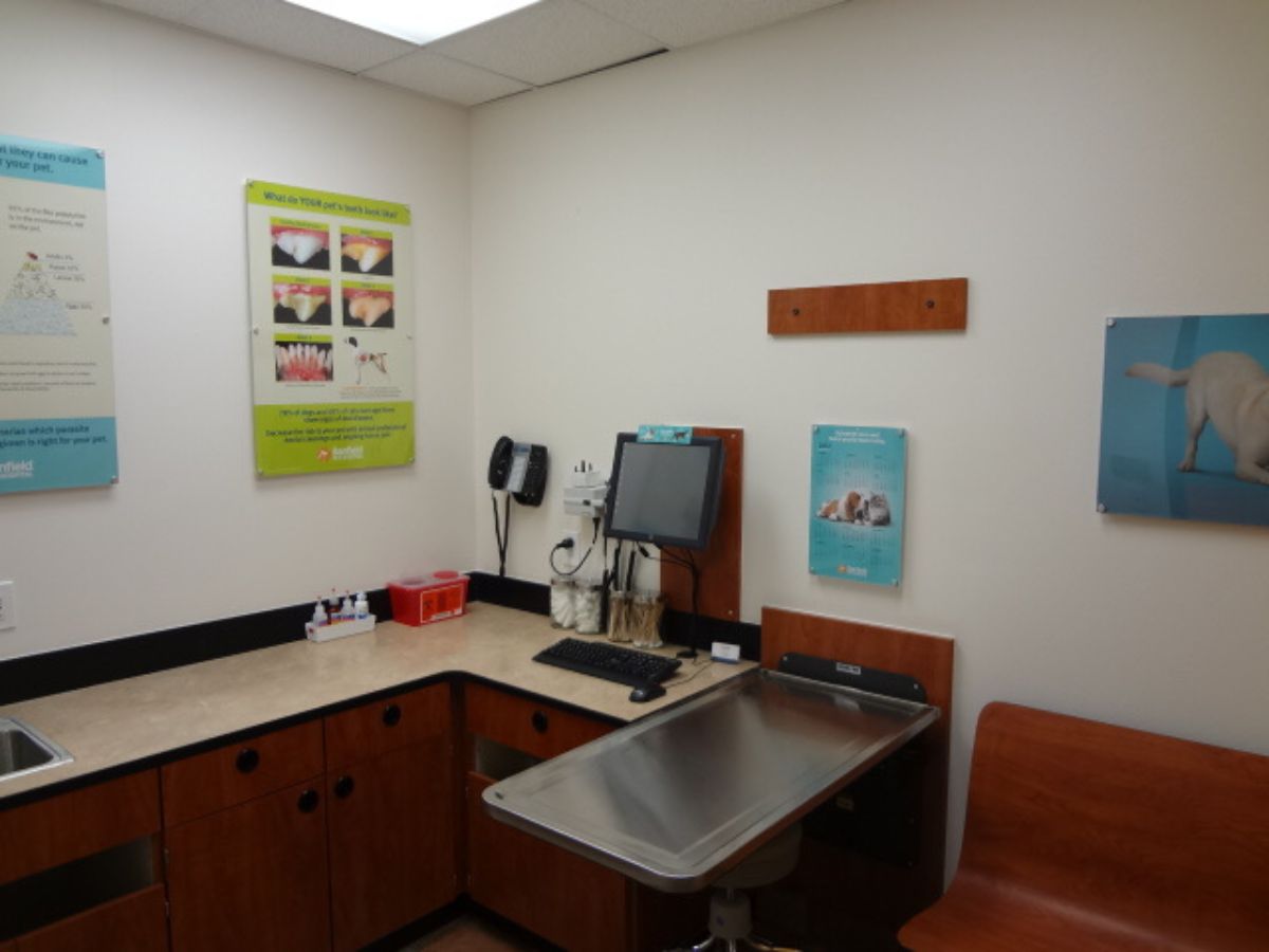 A view inside the Banfield - Princeton exam room