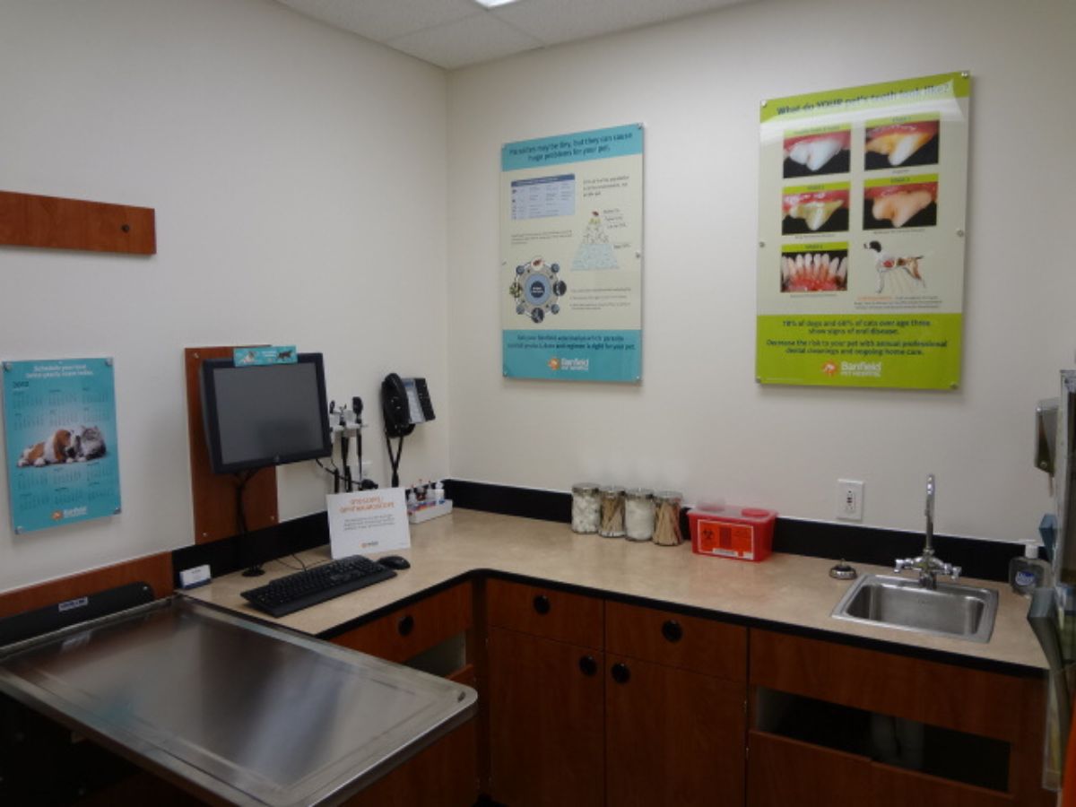 Another view inside the Banfield - Princeton exam room and folding table