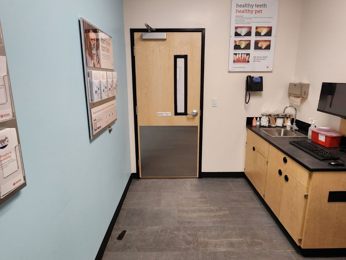 An alternate view of the Banfield - Brick FedEx Plaza exam room