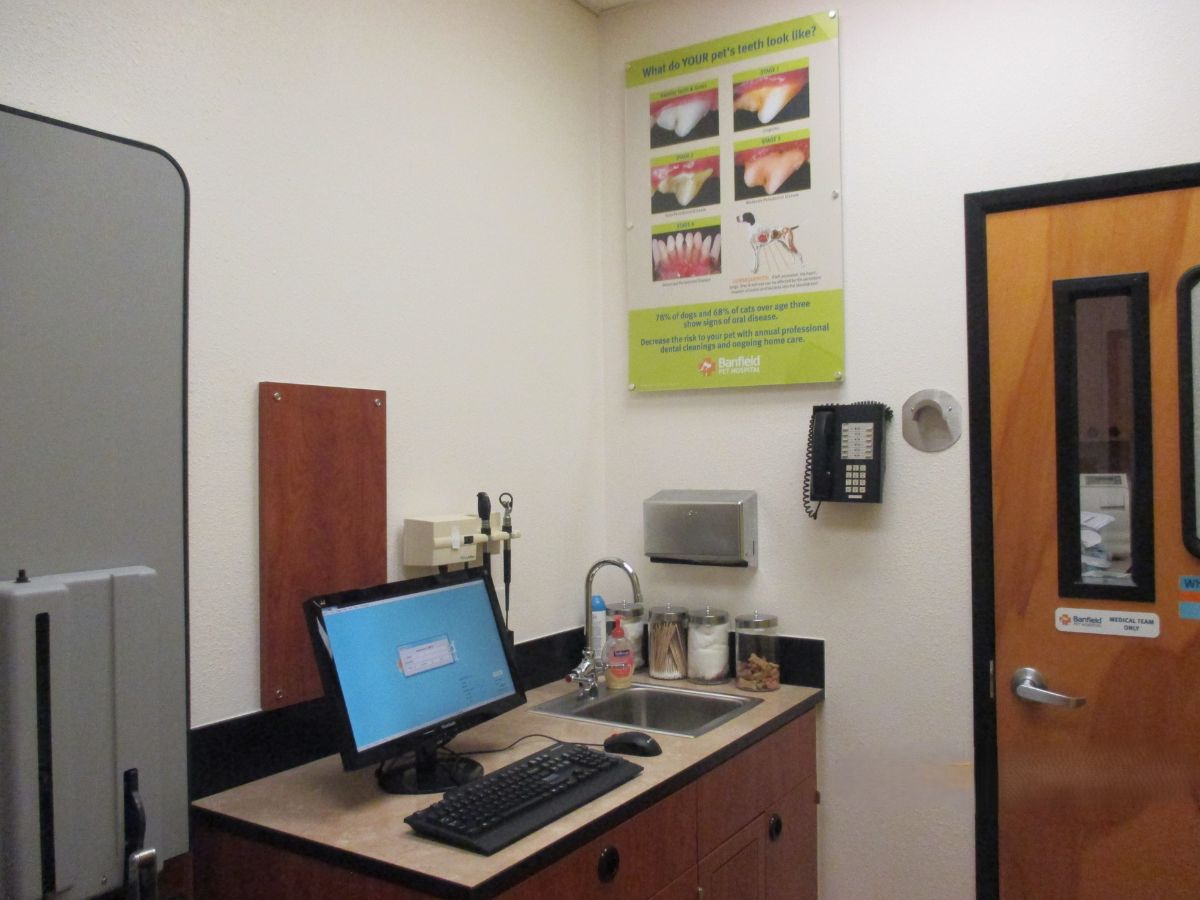 A view inside the Banfield - Saratoga Springs exam room and folding table