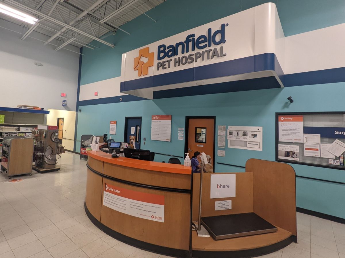 The front desk inside the Banfield - Niskayuna hospital and PetSmart