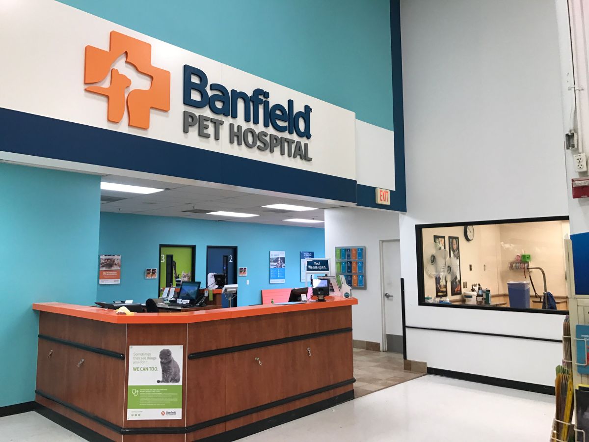 The front desk at the Banfield - Latham hospital