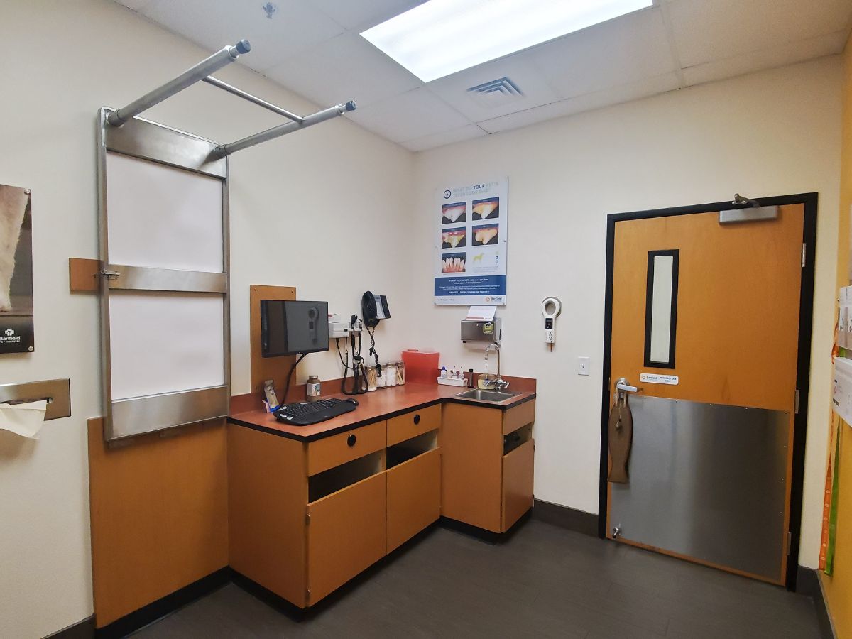 A view of a Banfield - Orchard Park exam with equipment
