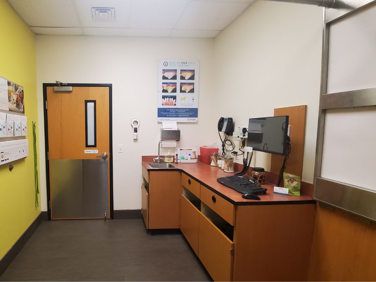 The Orchard Park Banfield exam room and folding table