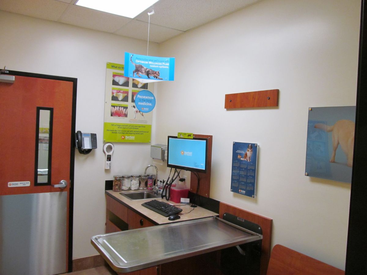 A view inside a Banfield - Amherst exam room and folding table