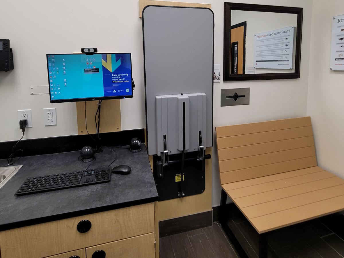 A view of a Middletown Banfield exam room with the folding exam table
