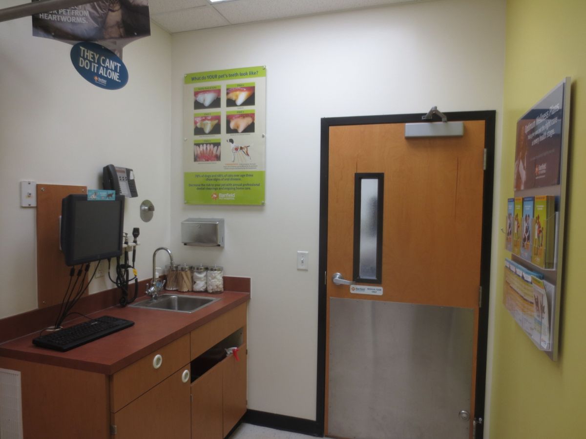 A view inside the Banfield - Nanuet hospital exam room