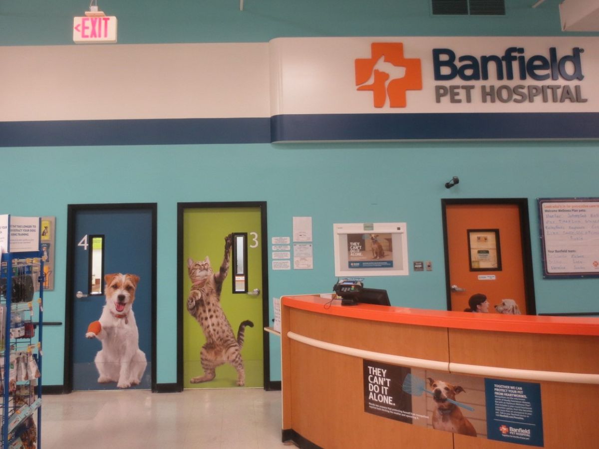 The front desk inside the PetSmart and Banfield - Nanuet hospital