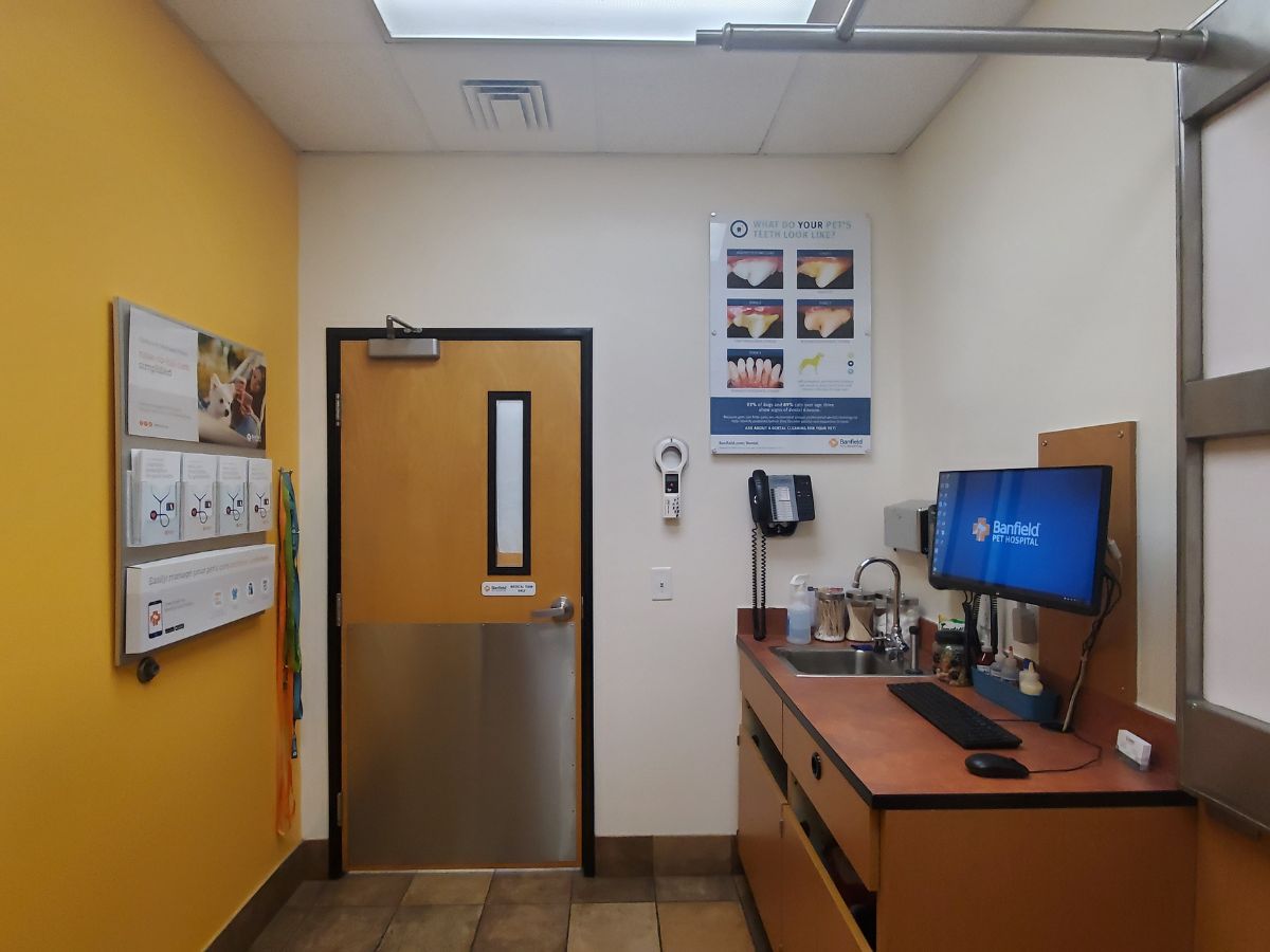 A view of a Henrietta Banfield exam room
