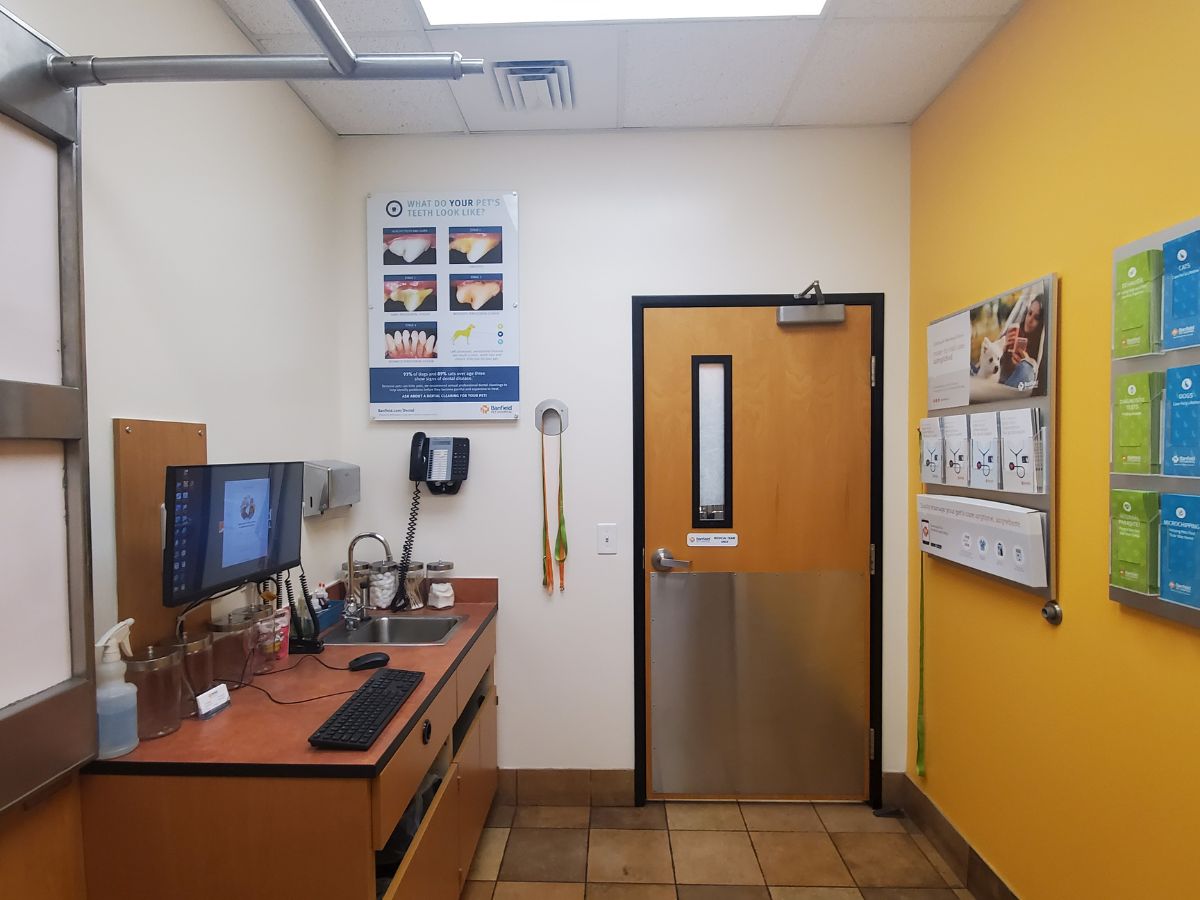 A view of a Henrietta Banfield exam room and folding table