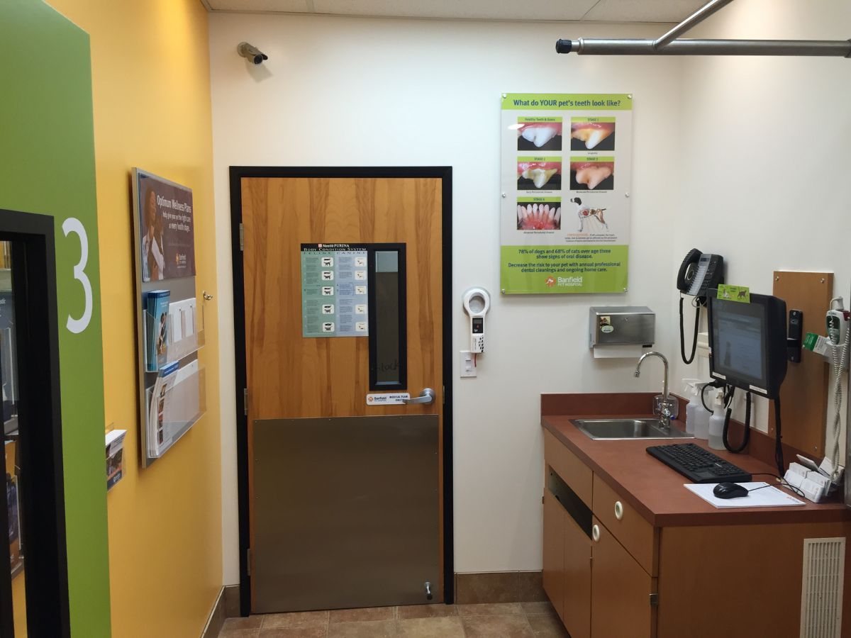 A view of the Norwalk Banfield exam room and folding table