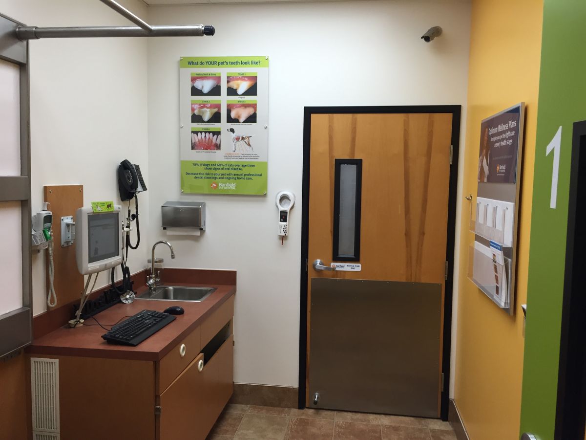 An alternate view of the Banfield - Norwalk exam room
