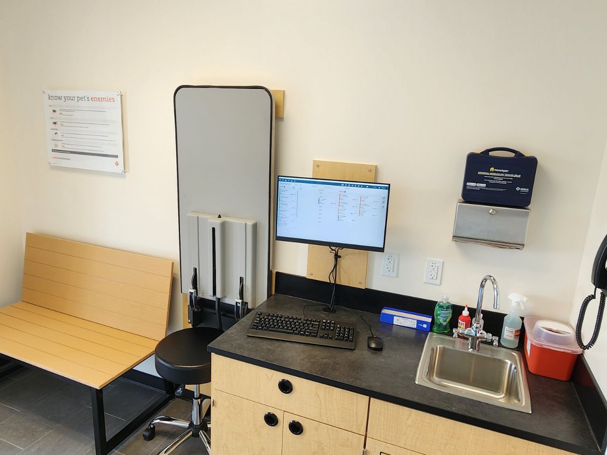 A view inside a Banfield - Farmingdale Seven Daughters hospital exam room and table