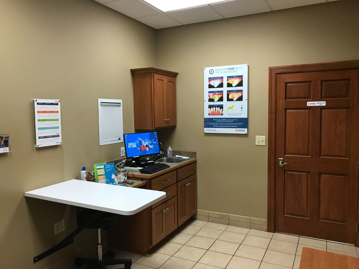 A view of the exam room inside the Banfield - Vandalia hospital