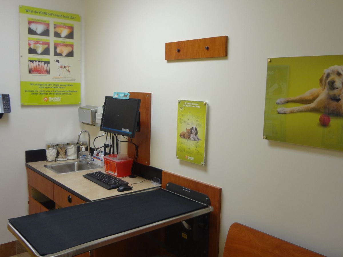 A view of an exam room inside the Banfield - South Eugene with the folding table