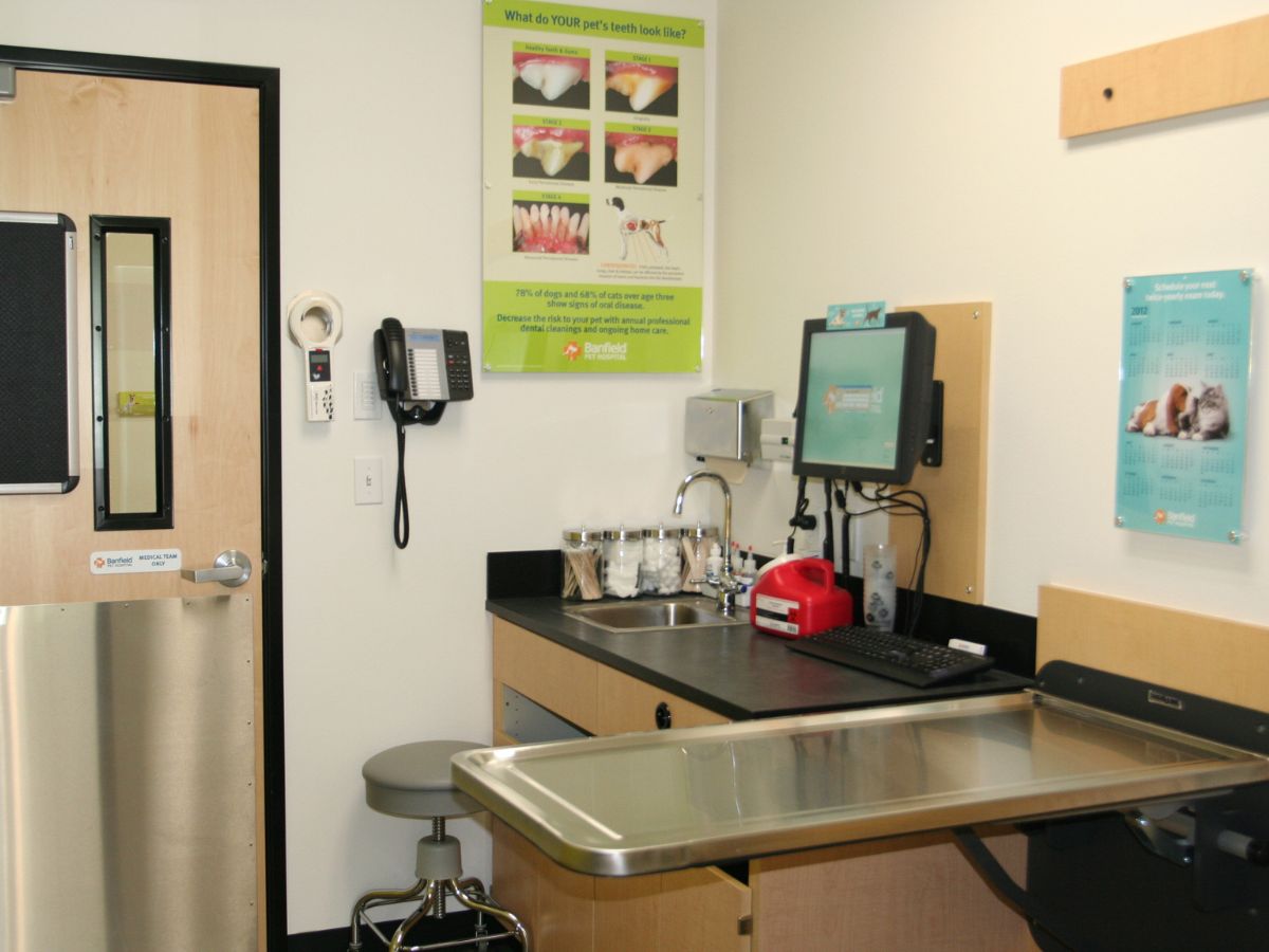 A view of the West Hills Banfield hospital exam room and folding table