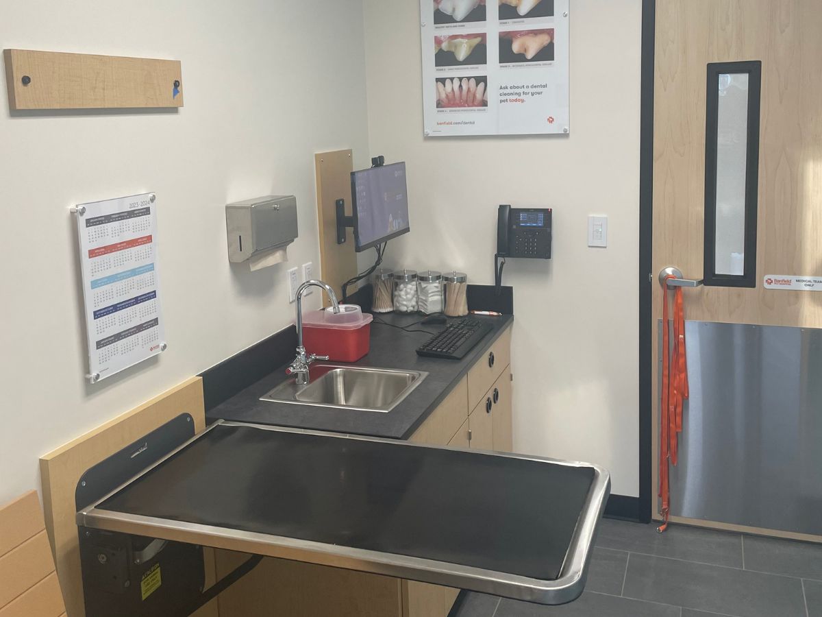 A view of a Hillsboro Tanasbourne Banfield hospital exam room and folding table