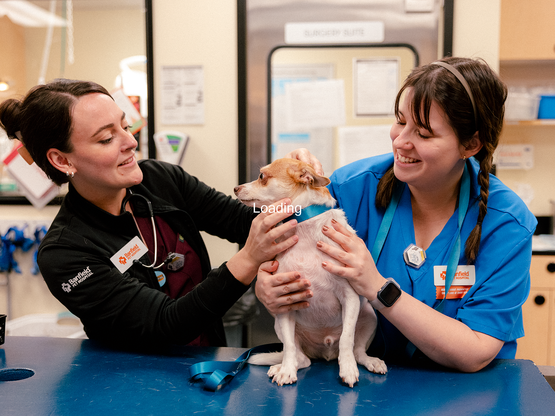 What should do pet owners next discussion