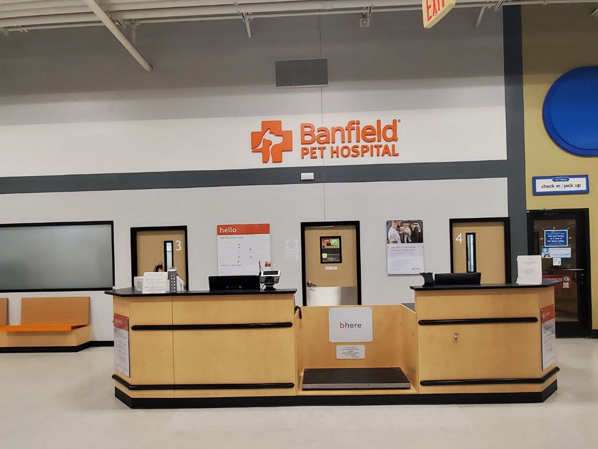 The South Philly Banfield hospital front desk and check-in area