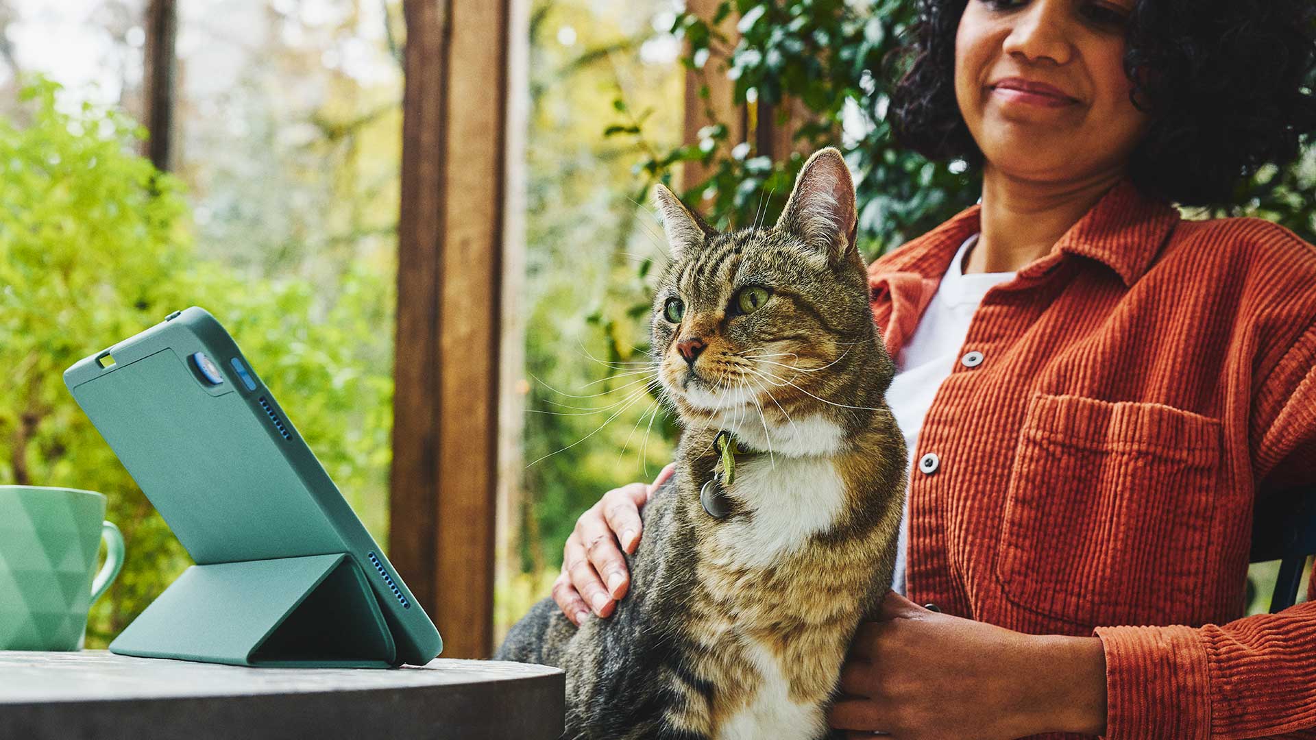 Cat is watching