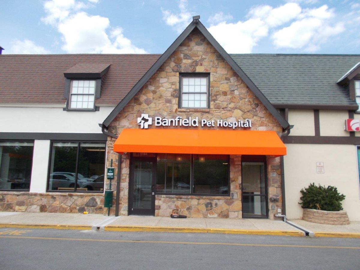 The front entrance and exterior of the Springfield Banfield Pet Hospital