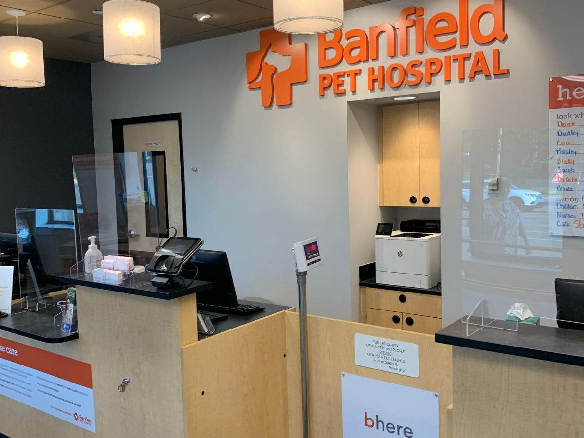The front desk and check-in area of the Springfield Banfield hospital