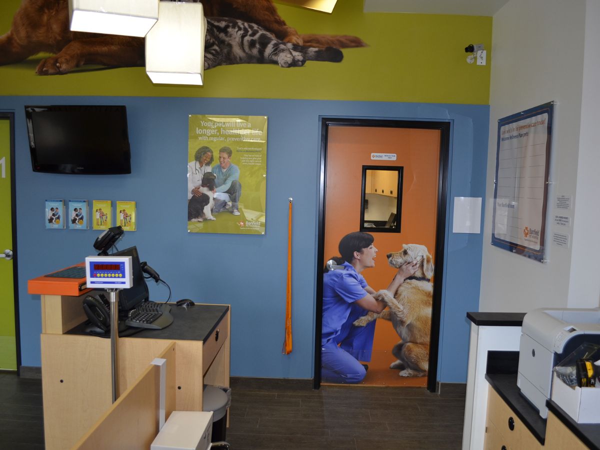 The Banfield - West Linn front corridor to the back exam rooms