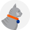 An illustrated icon of a grey cat