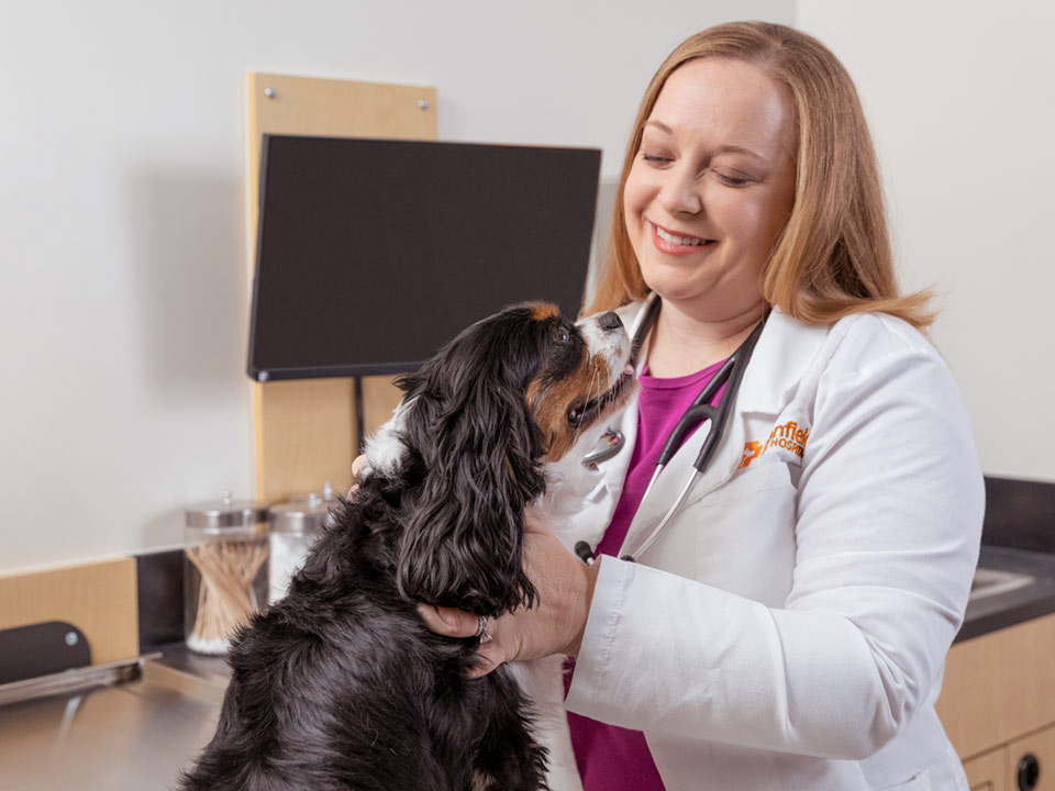 A Banfield veterinary professional petting a black and brown dog