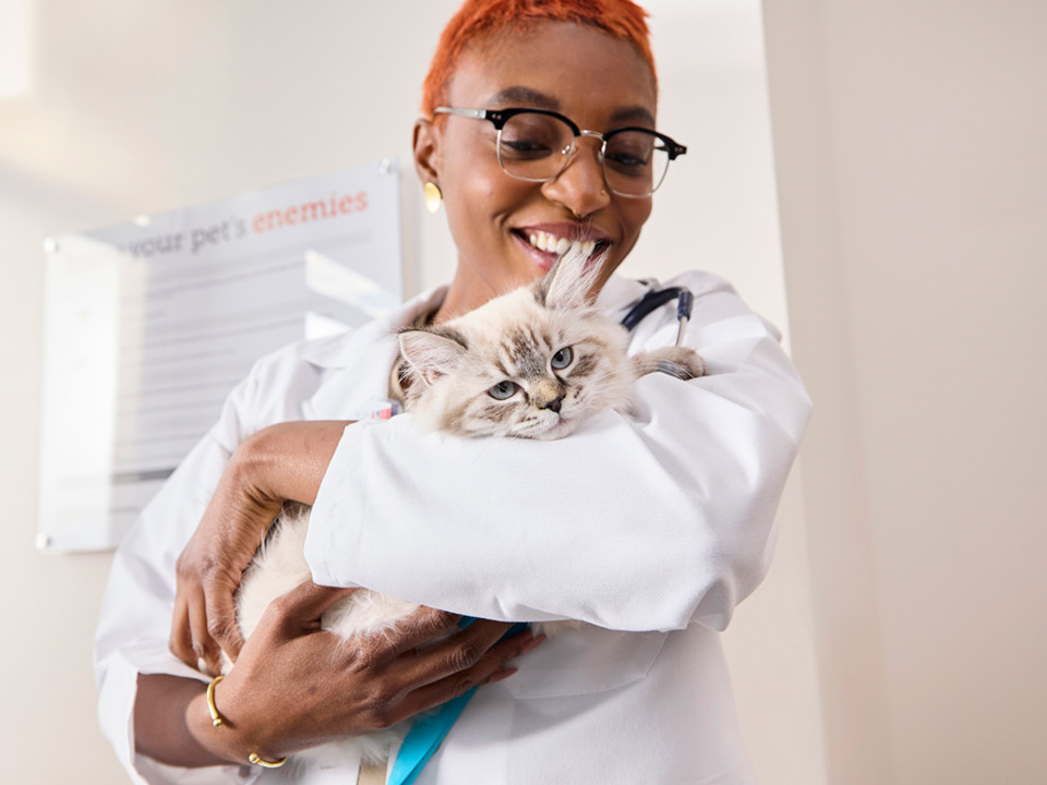 A Banfield veterinary professional holding a white kitten
