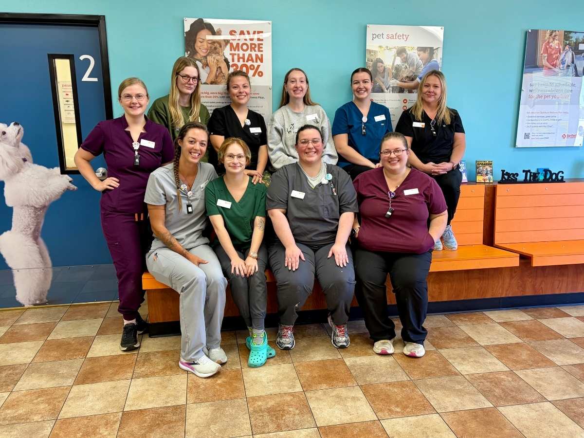 A group of smiling Banfield associates